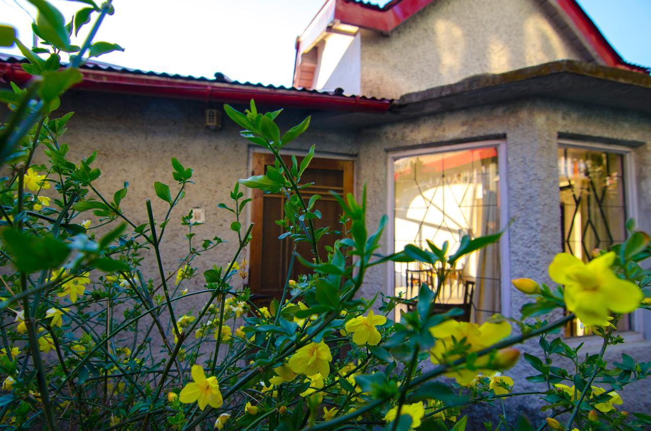 Open View Estate Villa Ranikhet Bagian luar foto